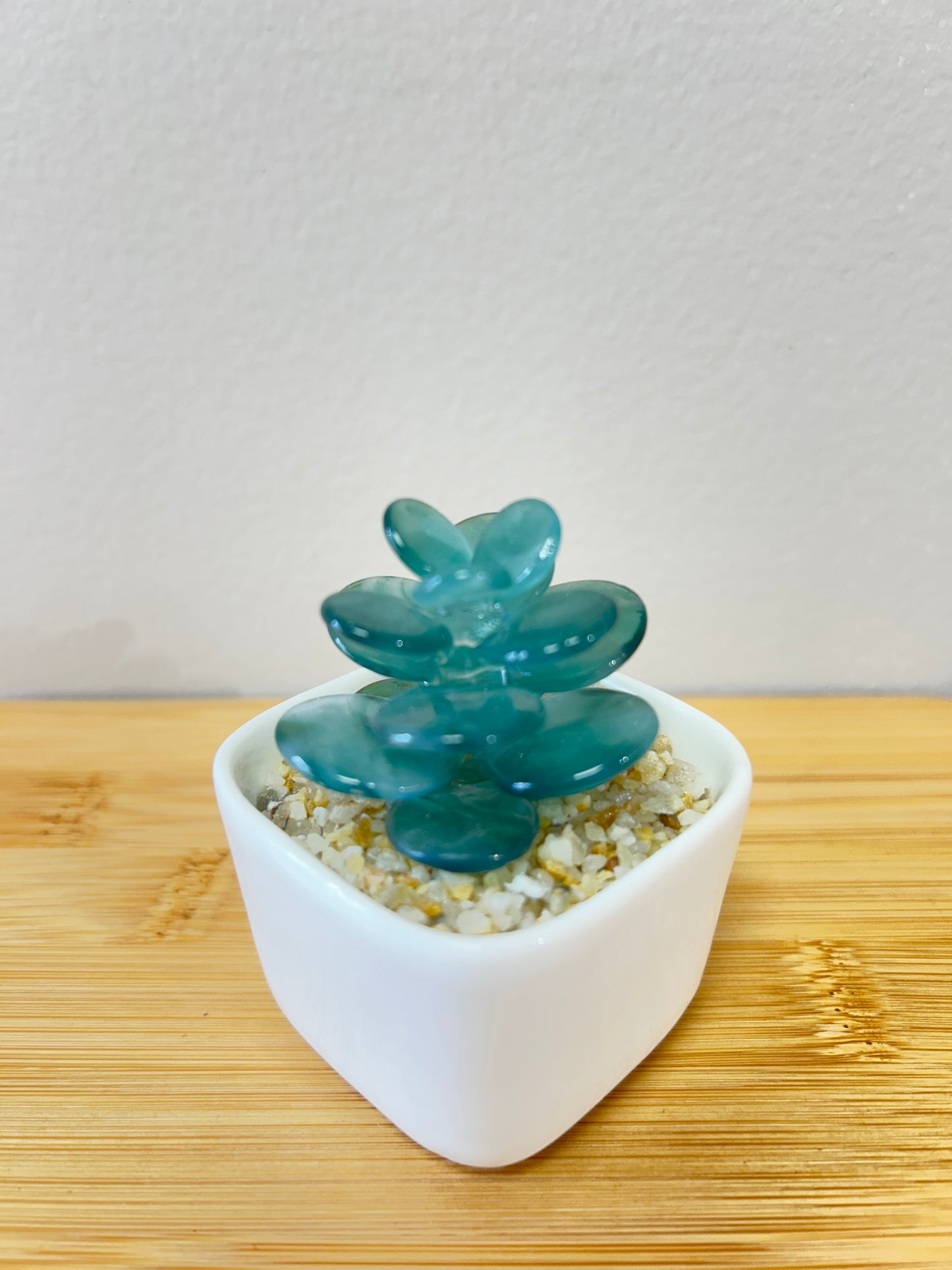 Unique Glass Succulent