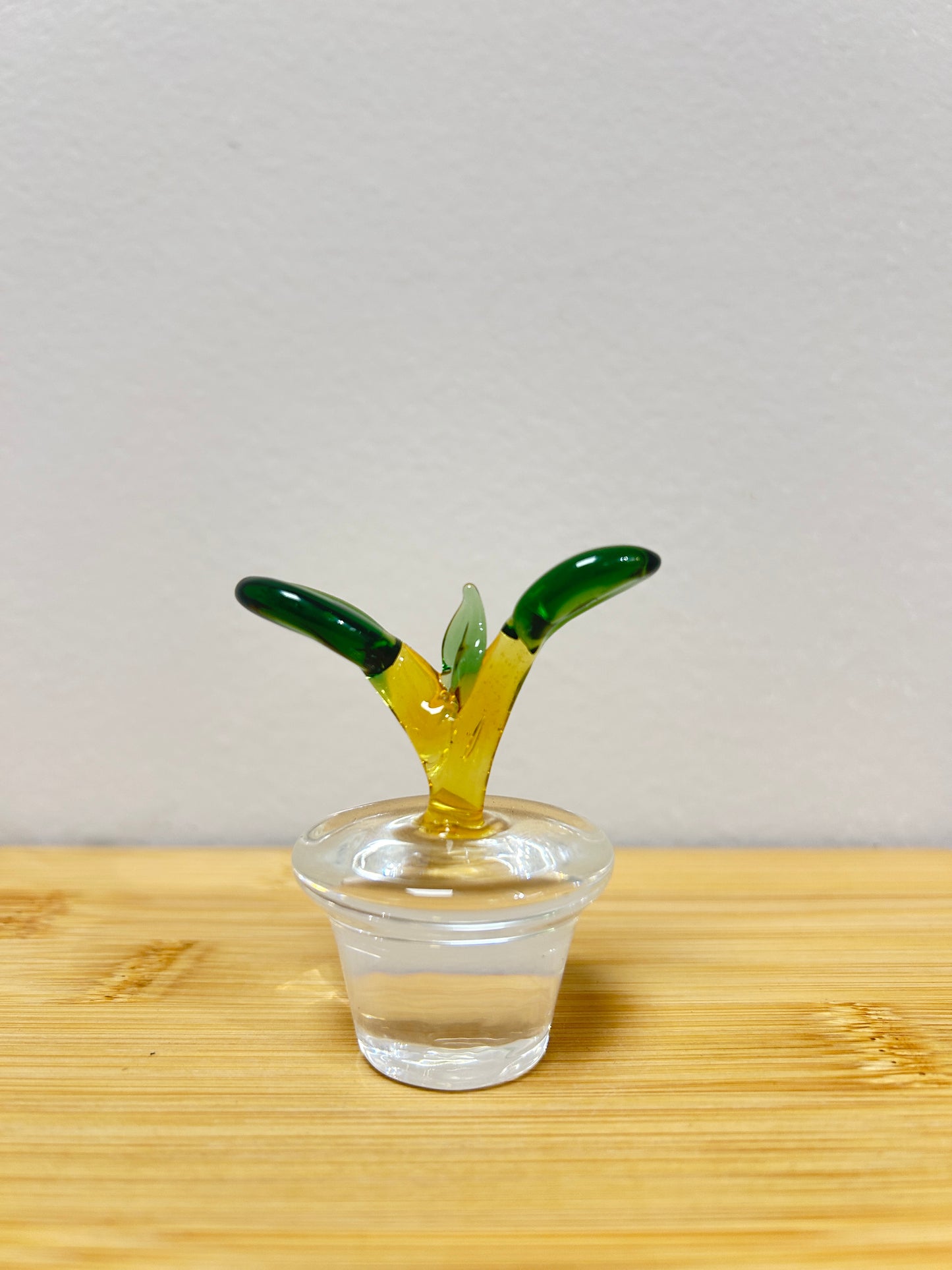 Unique Glass Plant