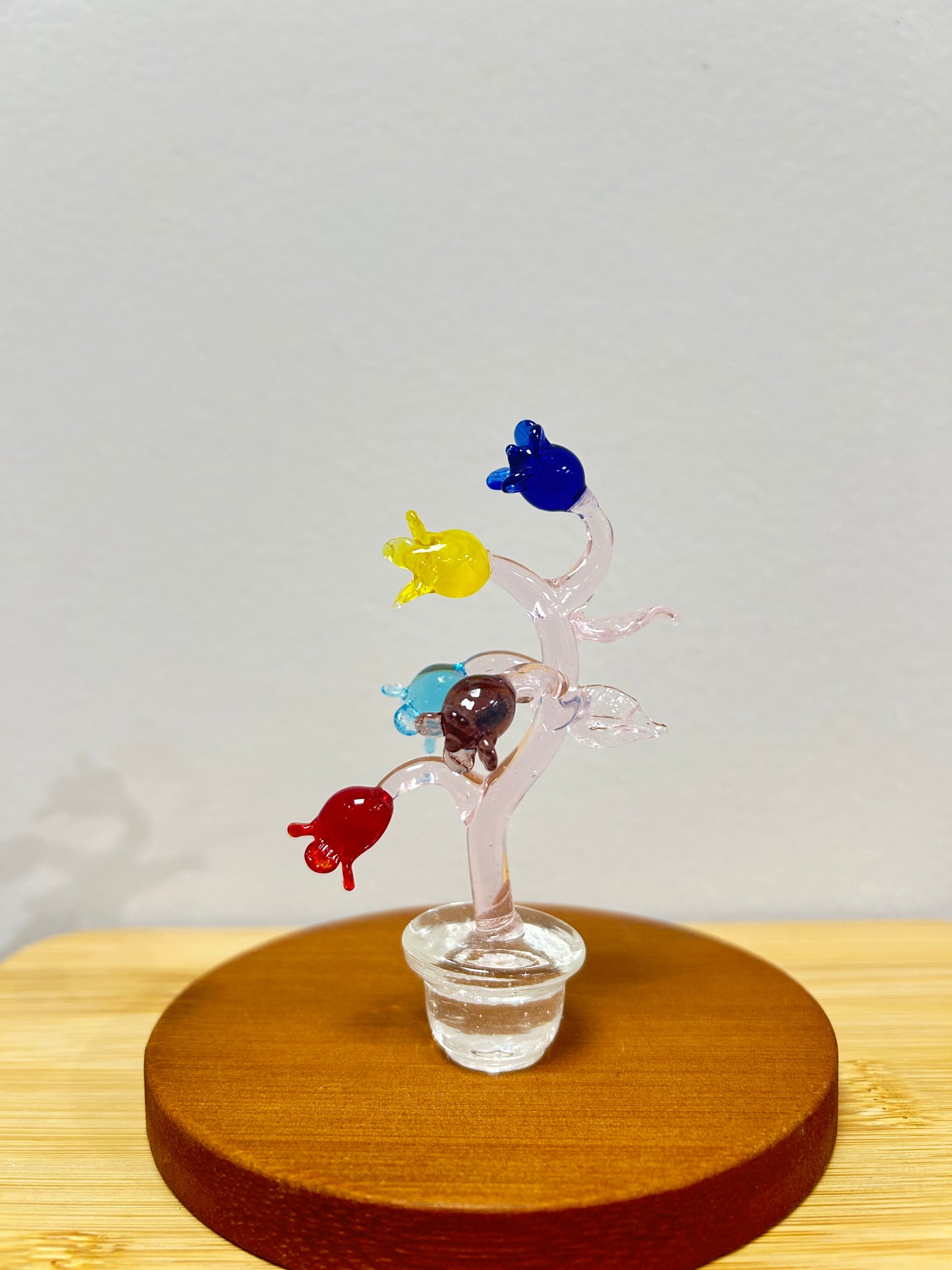 Unique Glass Plant!