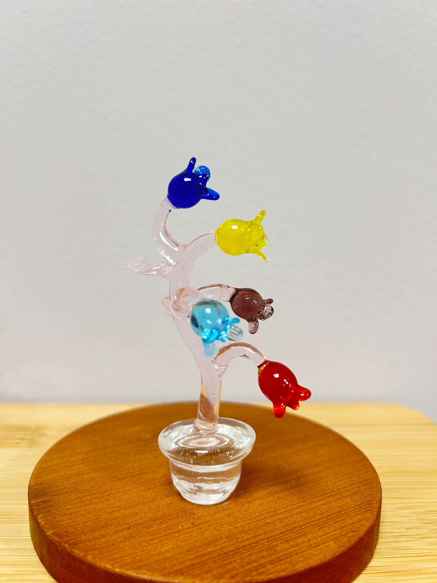 Unique Glass Plant!