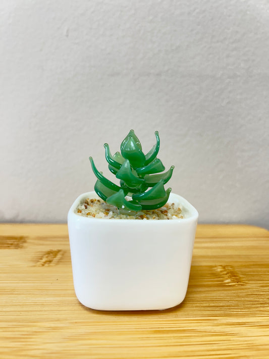 Unique Glass Succulent